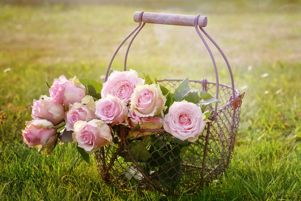 Flowerchild.ie Florist Dublin