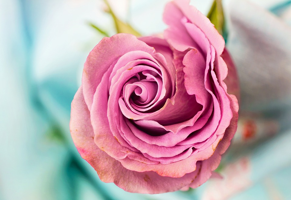 Flowerchild.ie Florist Dublin
